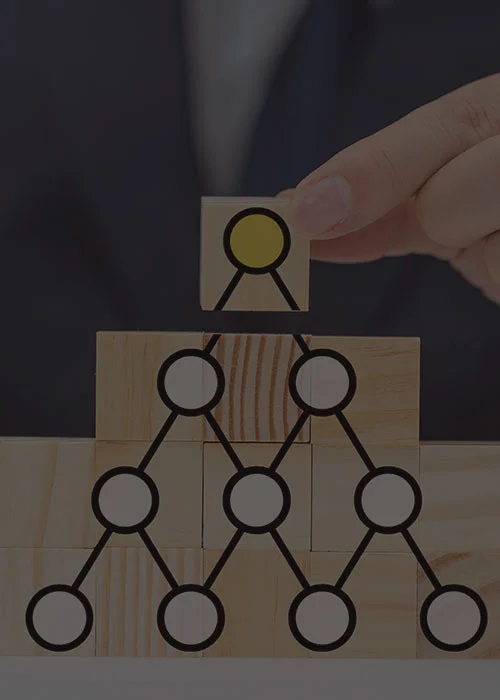 Imagen de la noticia 1